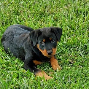 Meet your Posher, Keith